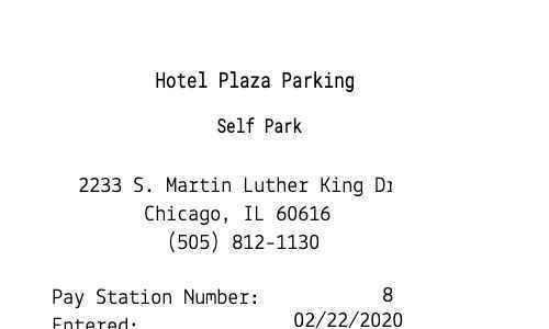 Self Parking receipt template image