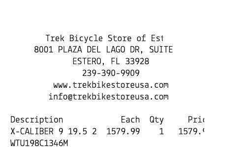 TREK bike receipt template image